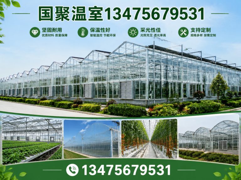 潍城区连栋薄膜温室展示图