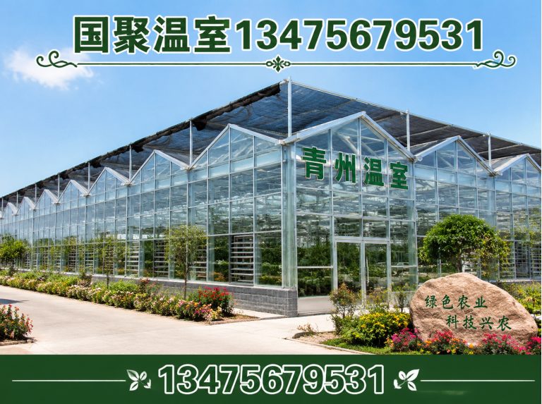 潍城区玻璃温室展示图